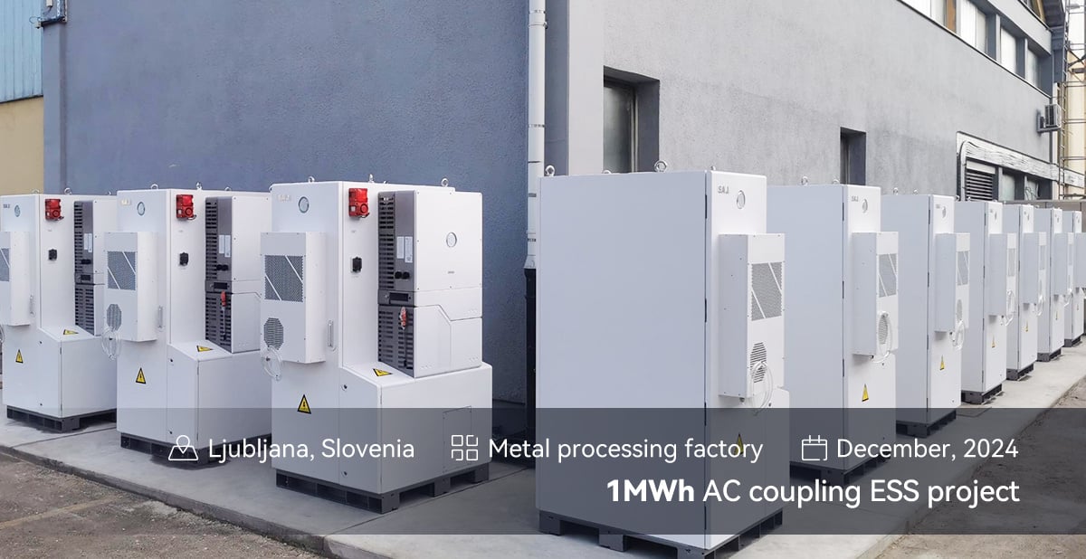 Cazul proiectului de conectare în paralel CHS2 din Slovenia - 2025-0115(1)