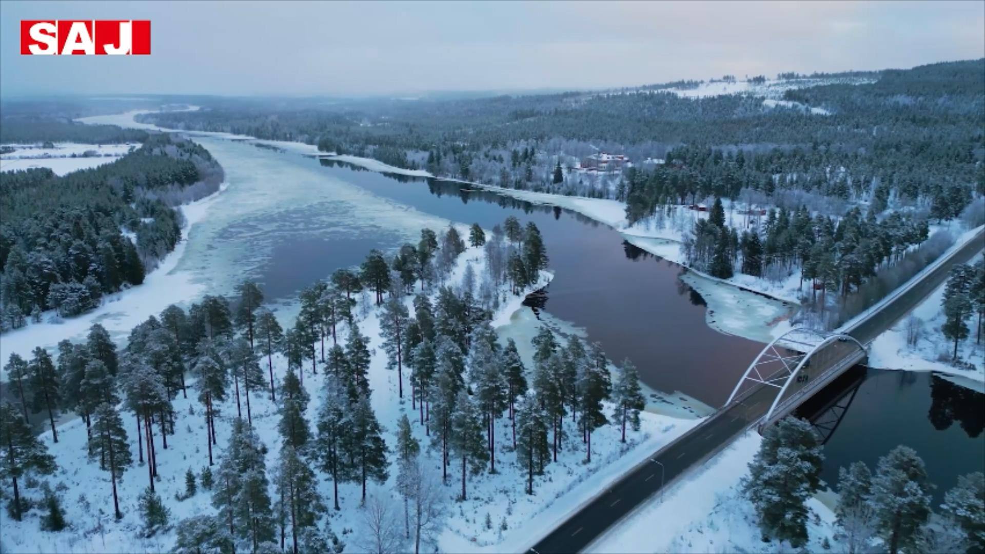 20230315瑞典案例【英】.mp4_20250225_180205398